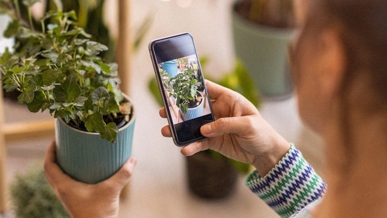 Phone pointing at plant