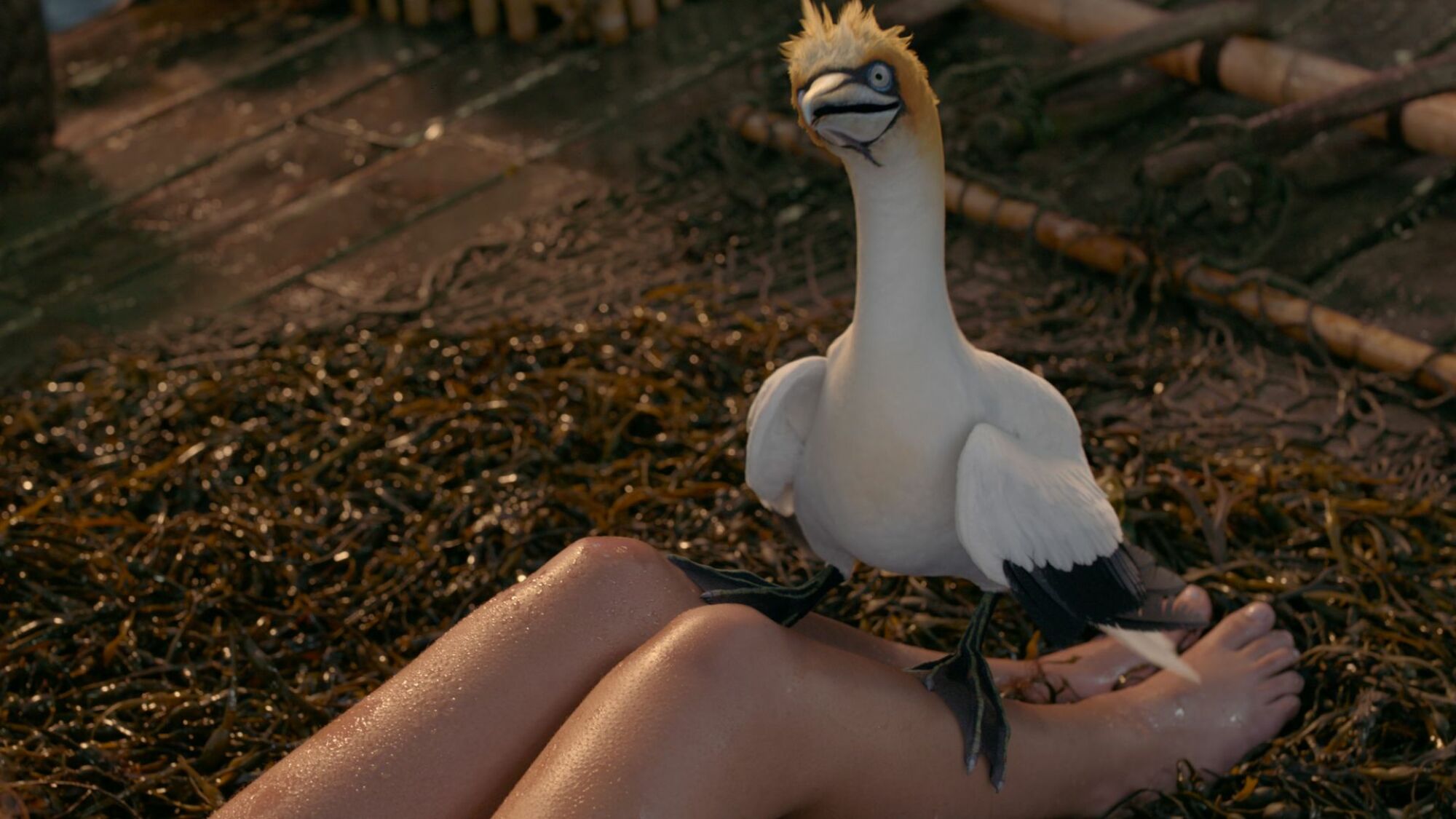 Scuttle, voiced by Awkwafina, sits on Ariel's legs in "The Little Mermaid."