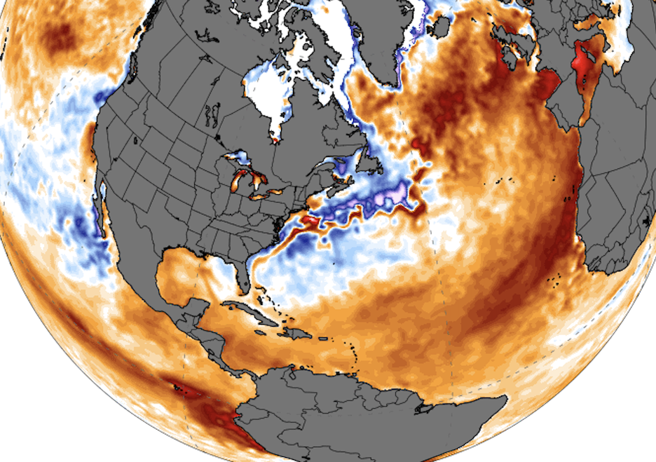 A globe showing anomalously warm temperatures in the Pacific and Atlantic oceans in mid-June 2023.