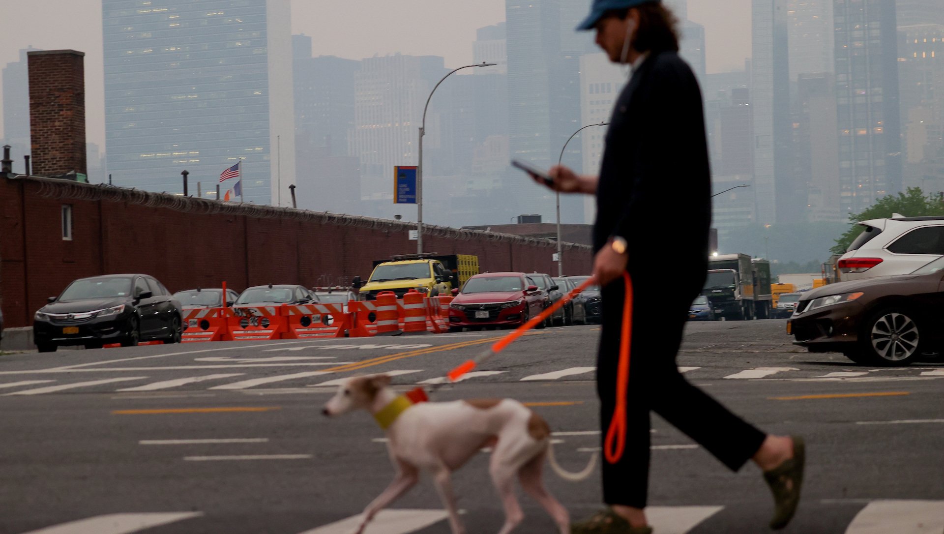 A man walks his dog as air quality remains poor in New York City, United States on June 6, 2023. New York City has issued a health advisory for Tuesday as smoke from wildfires in Canada impacting the city's air quality.