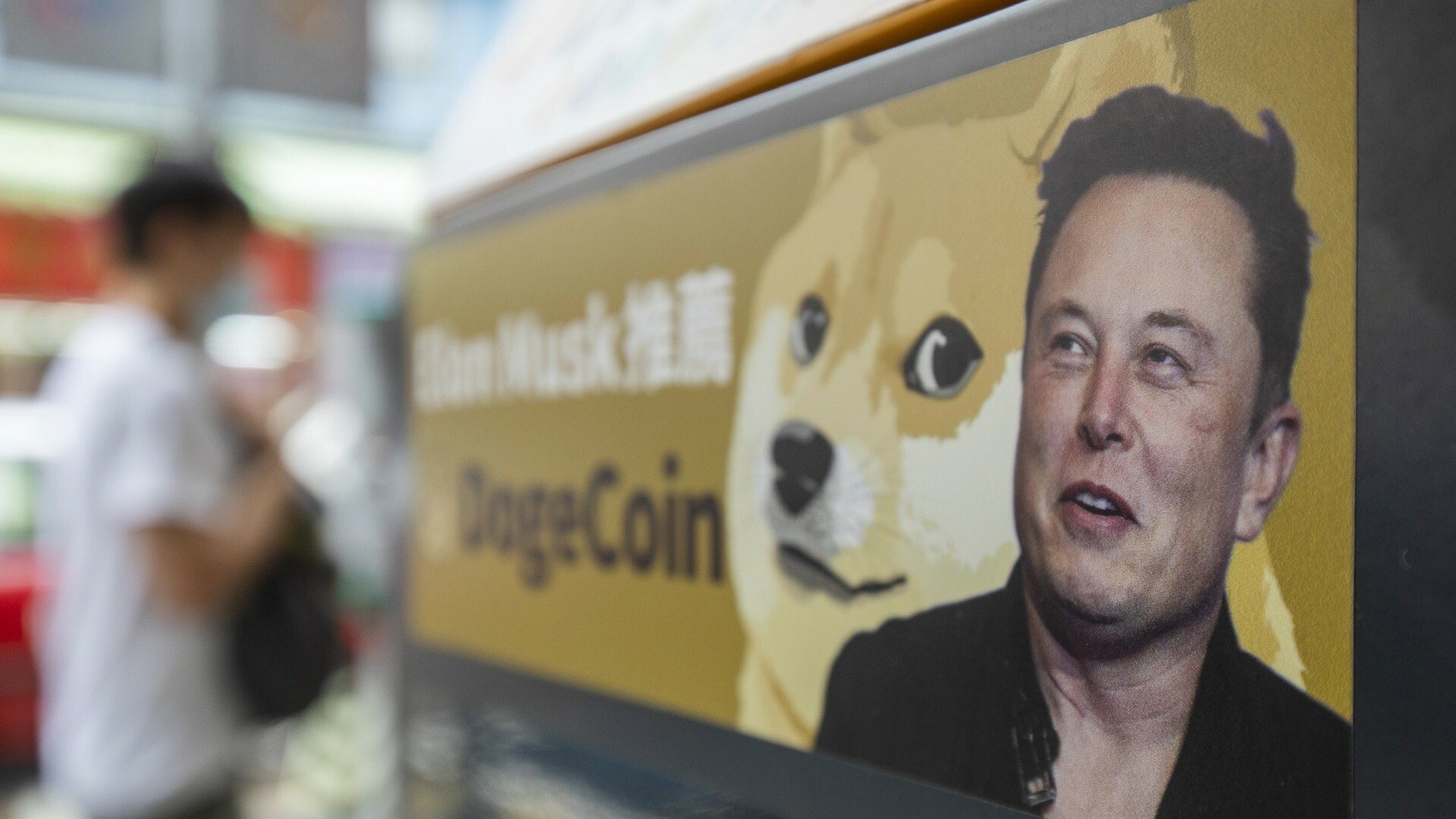 Elon Musk Doge