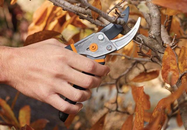 Man's hand holding Fiskars pruning scissors over some leaves and cutting a branch