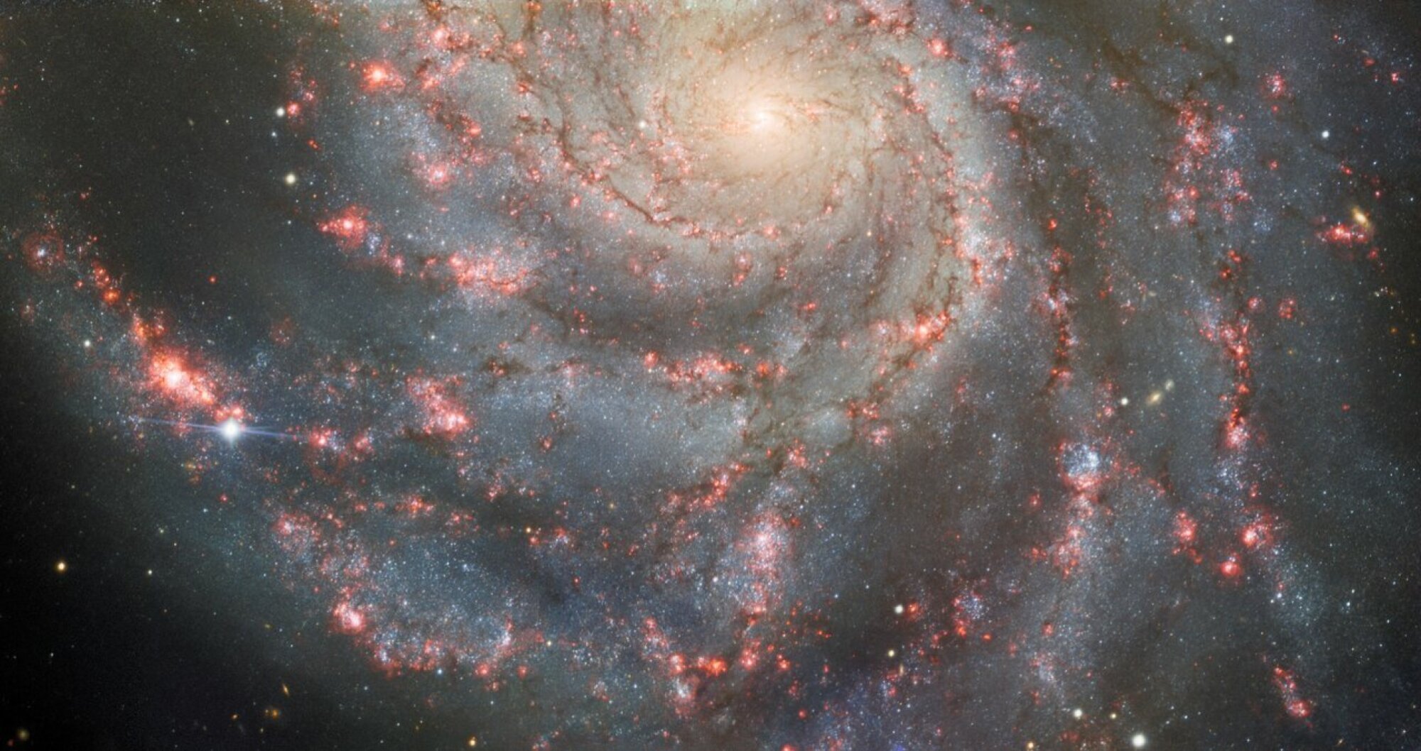 The supernova in the Pinwheel galaxy, located on the far left center in the image.