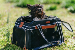 Vibrant Life Small Pet Travel Carrier