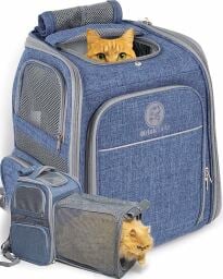 BriskTails cat backpack carrier with two cats inside of its compartments 