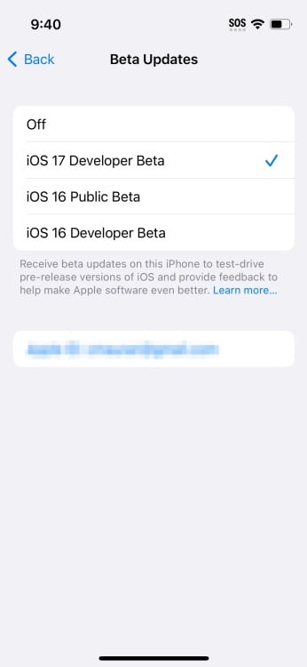 iOS 17 developer beta option in the Software Update setting