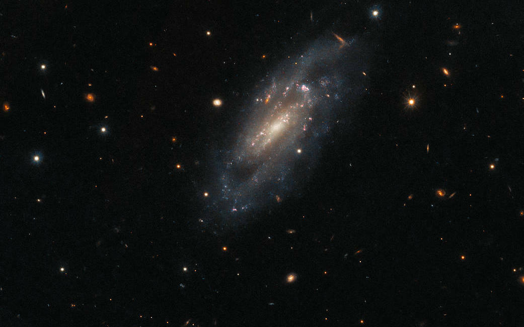Investigating supernova aftermath with Hubble