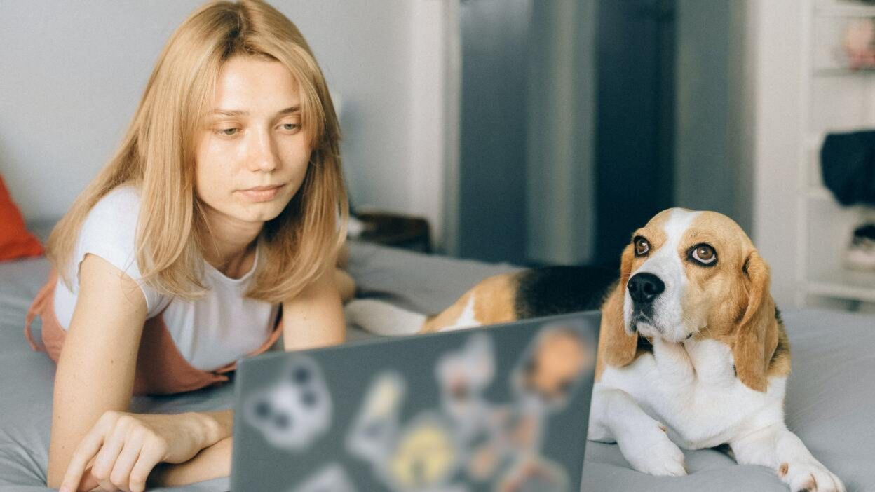 Girl and dog looking at laptop