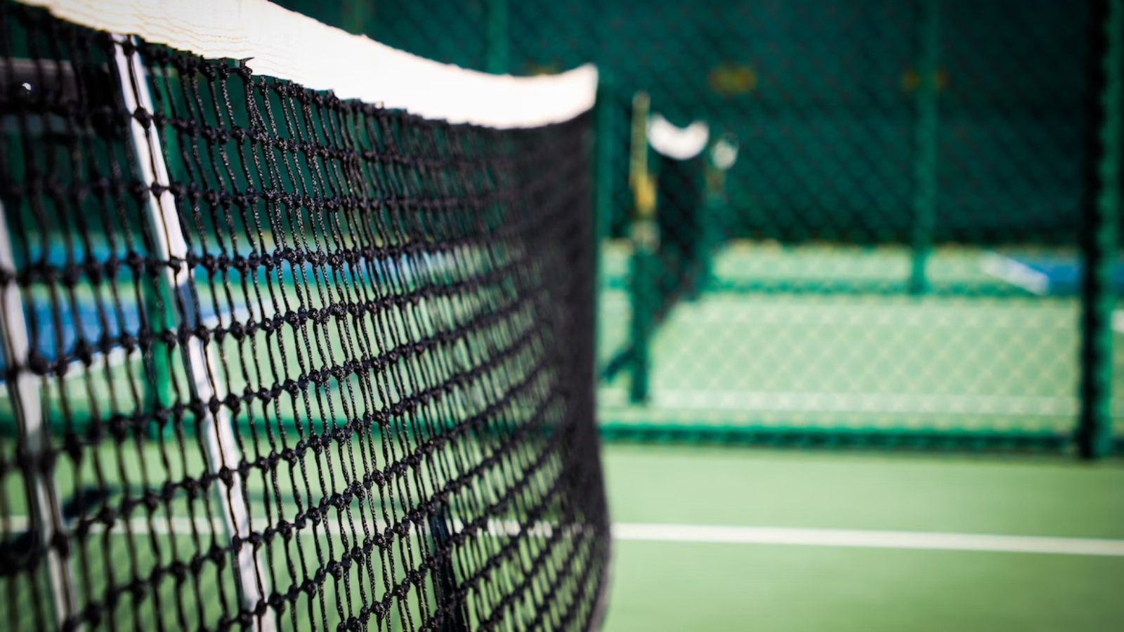 Grass tennis court with close up of net