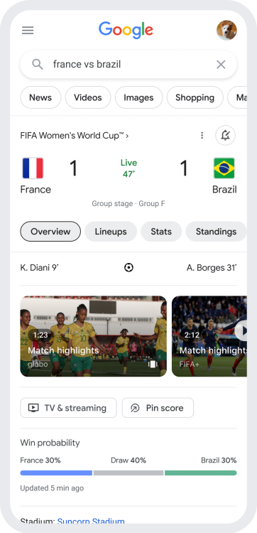 A screenshot of a Google search for "France vs. Brazil".