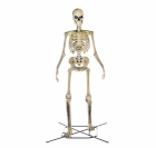 the 12 ft Giant-Sized Skeleton with LifeEyes LCD Eyes