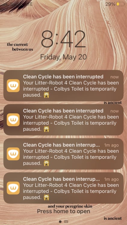 A screenshot of notifications that the Litter-Robot 4 is up and running.