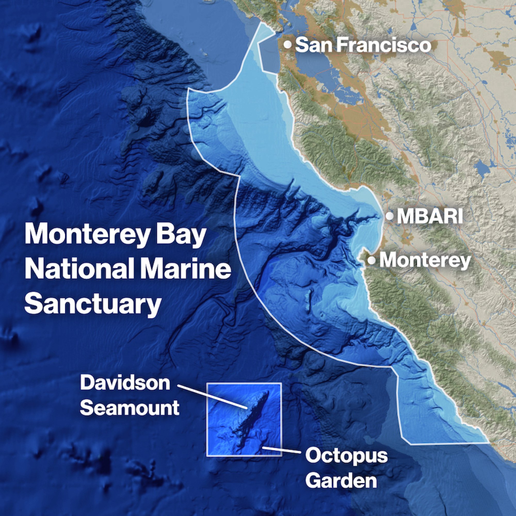 The location of the expansive octopus garden off the coast of Central California.