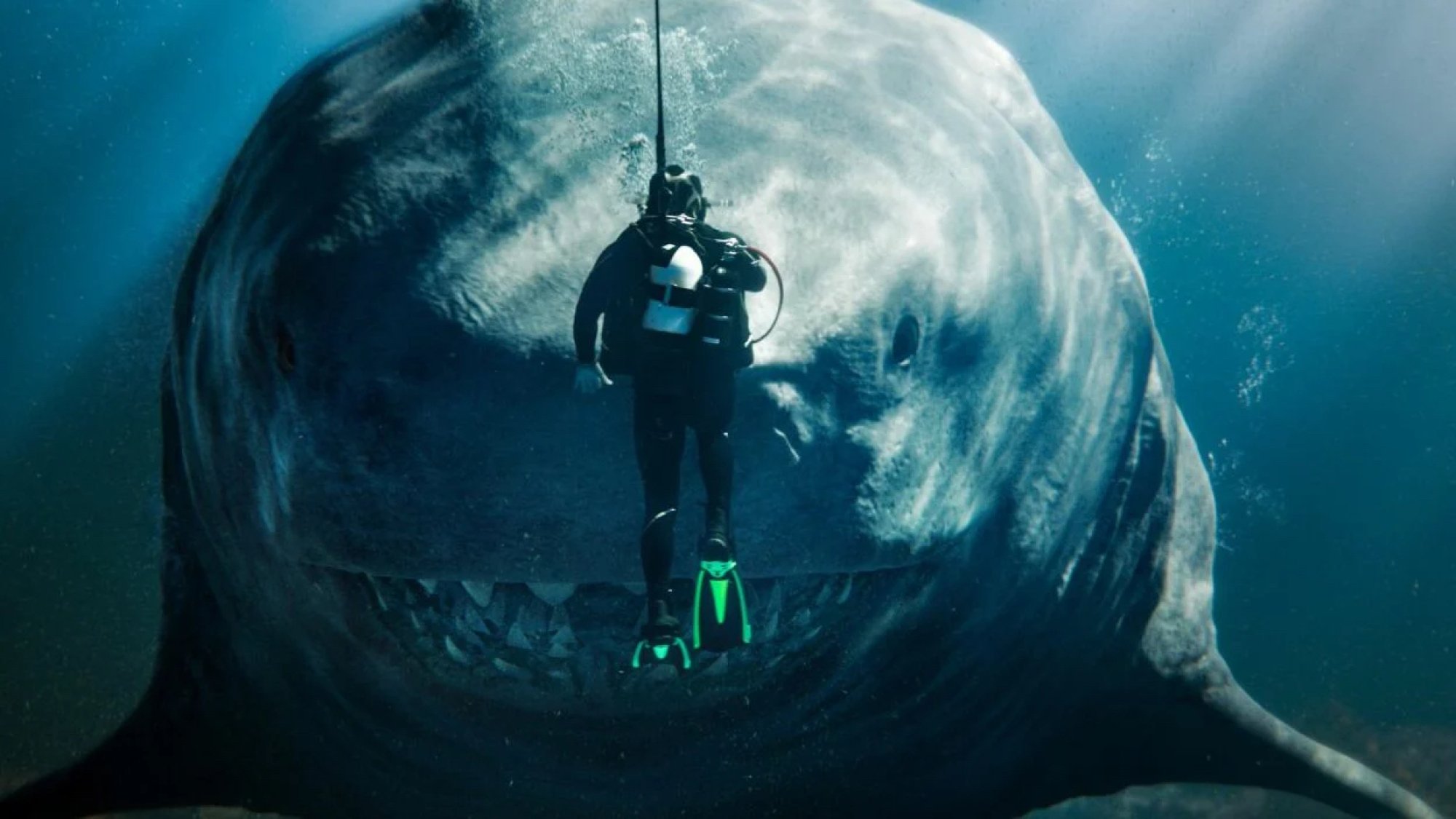 A scuba diver floats in front of a giant shark. 
