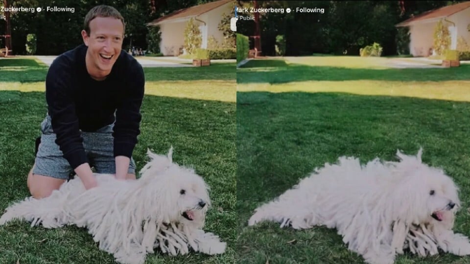 Mark Zuckerberg and dog