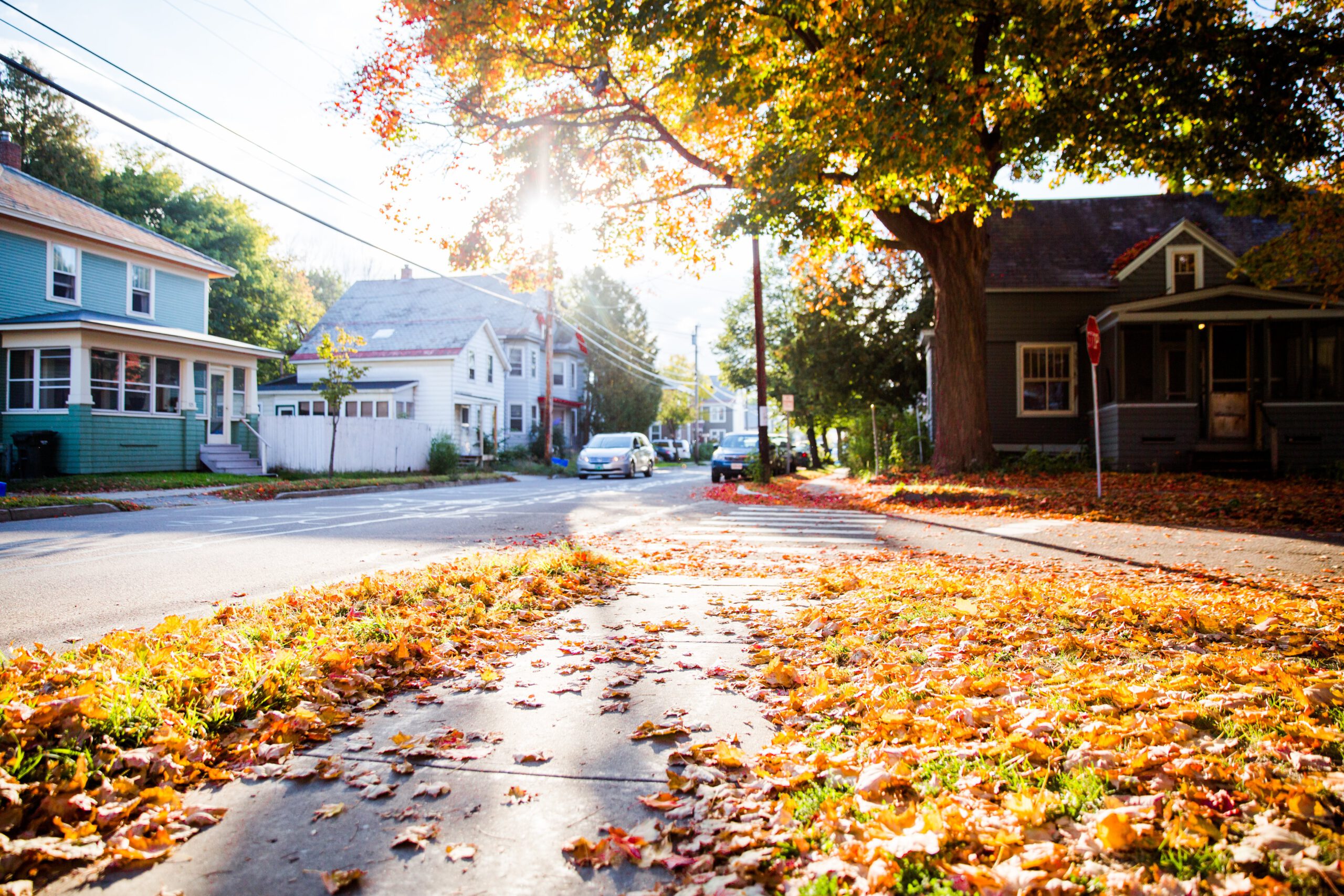 Fall foliage on a Burlington, Vermont street. 