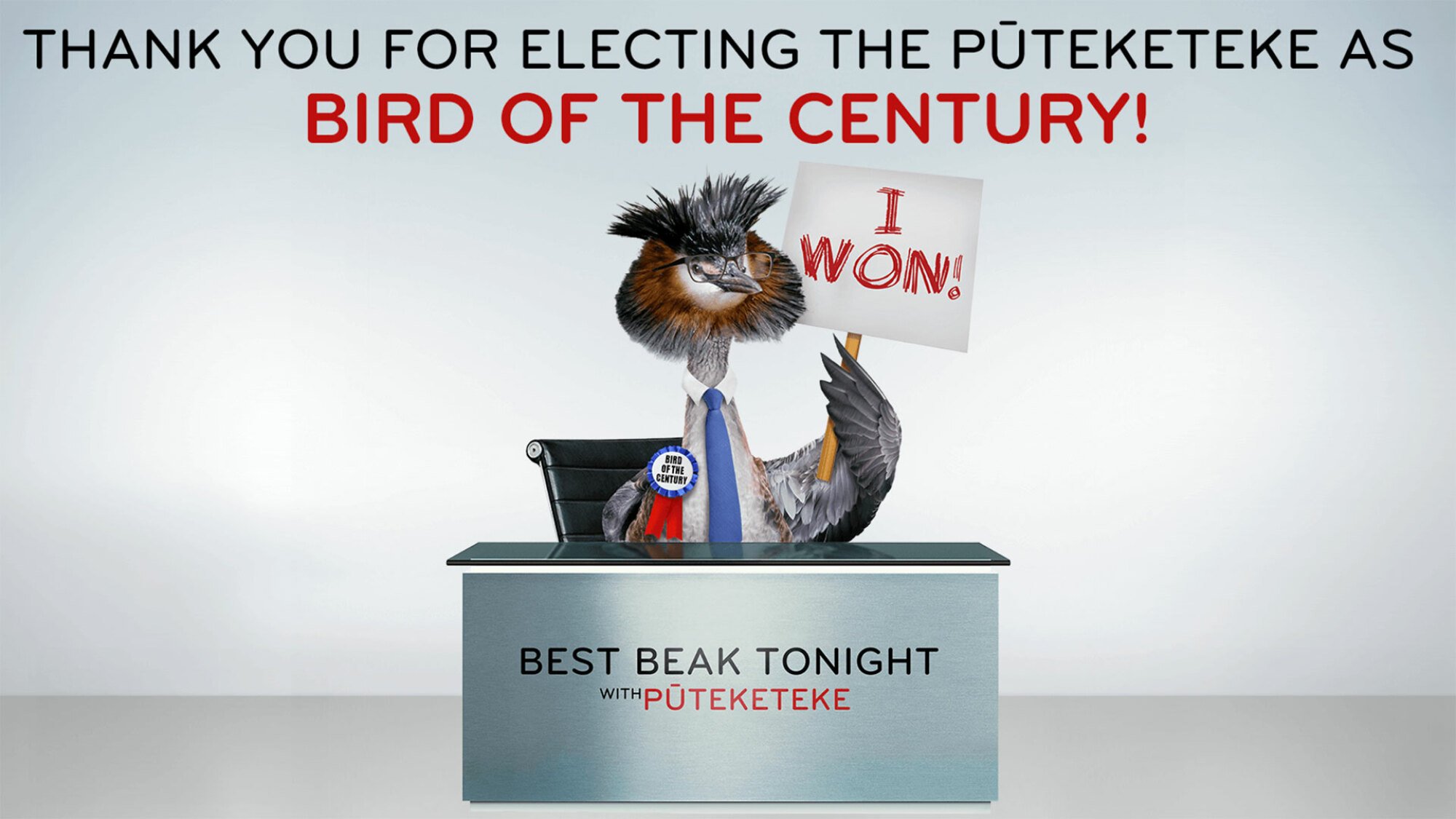 A photoshopped image thanks people for voting the Puteketeke as "Bird of the Century". The bird is shown styled as John Oliver, wearing glasses and sitting behind a desk while wielding an "I Won" sign.