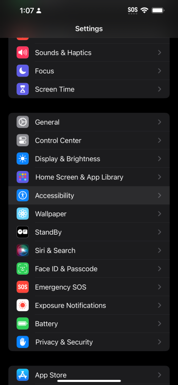Accessibility selection on iPhone