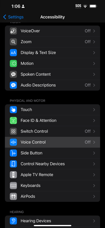 Voice Control selection on iPhone