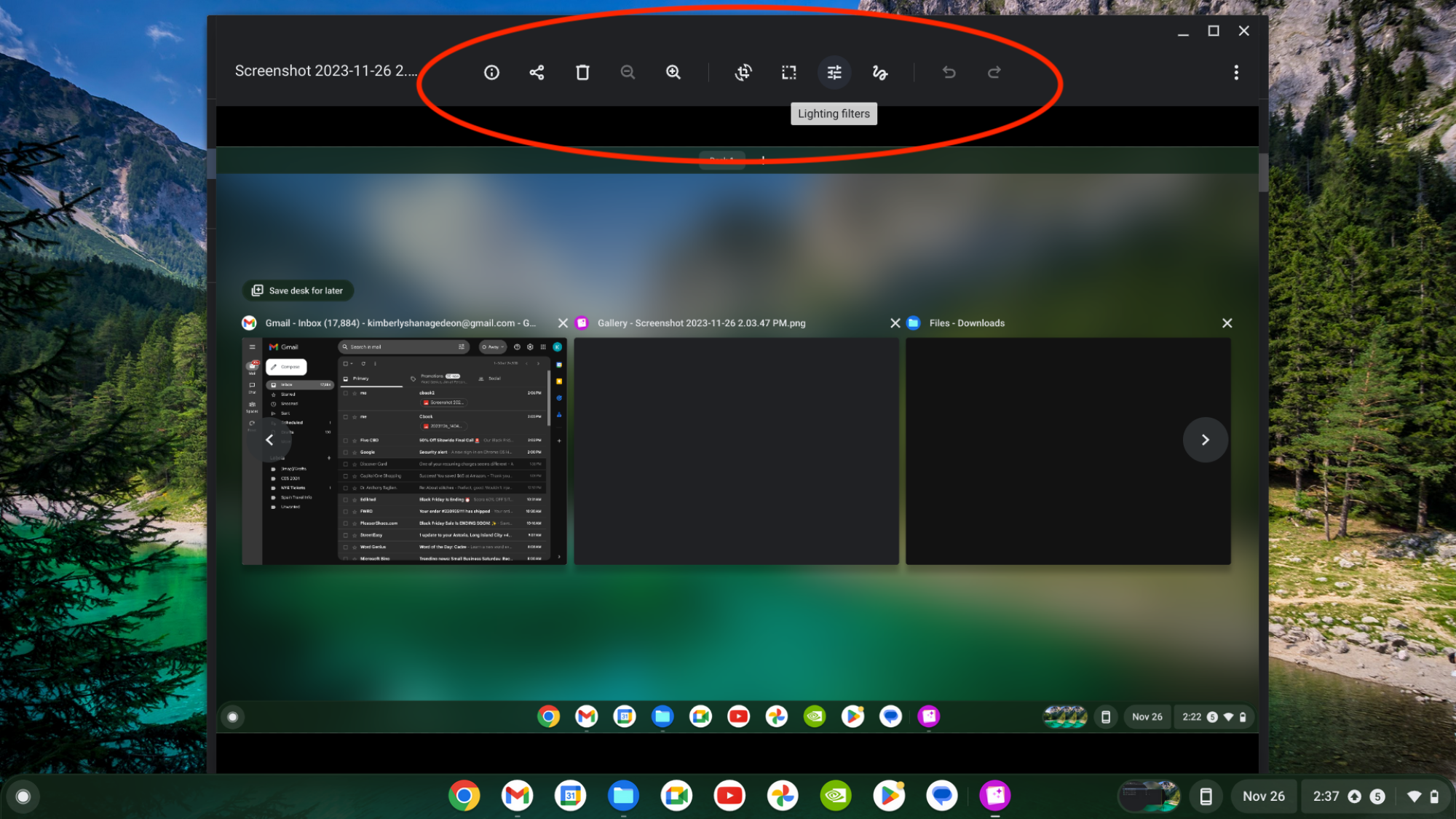 Circled options for editing screenshot on a Chromebook