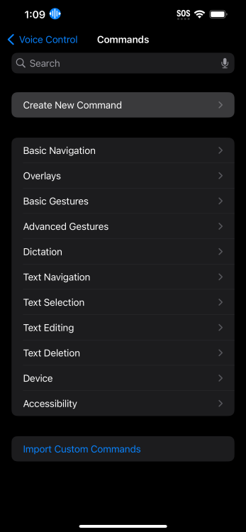 Create New Command selection on iPhone