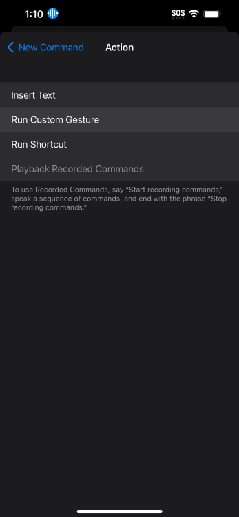 Run Custom Gesture on iOS 17