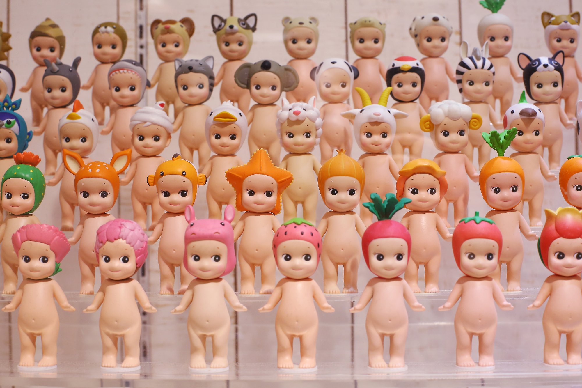 Five rows of Sonny Angel dolls lined up on a clear acrylic riser.