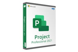 A Microsoft Project Professional box