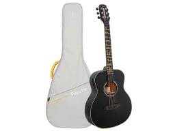 Poputar T2 acoustic guitar with case
