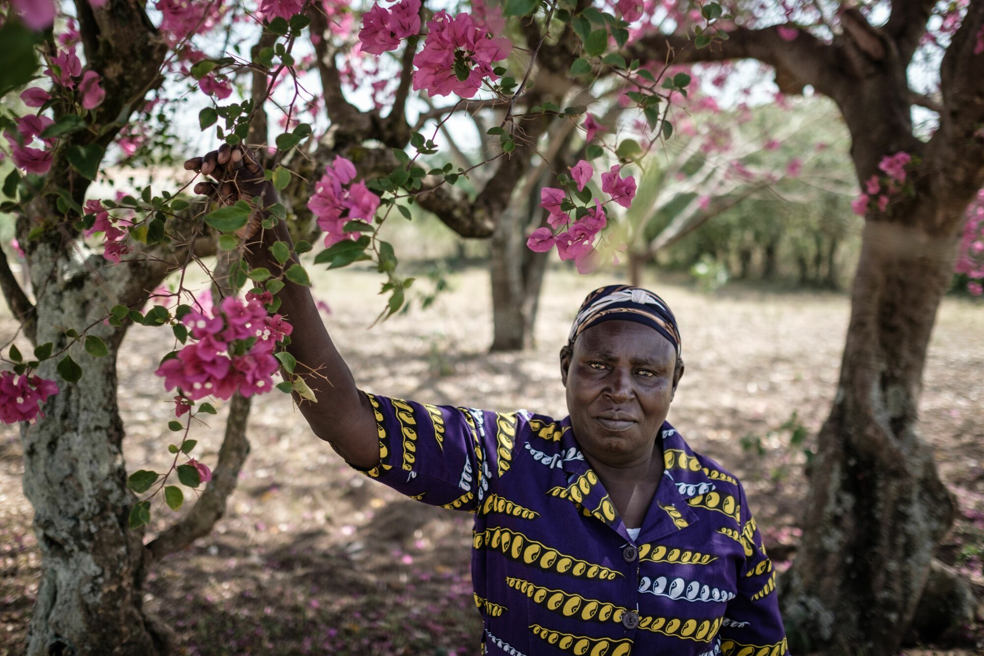 An older African woman by a flowering tree in Kenya.