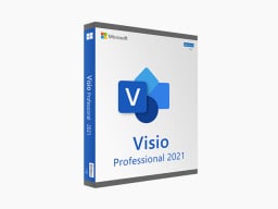 A Microsoft Visio Professional box
