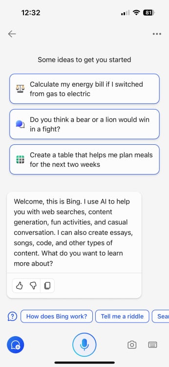 Bing Chat on iOS app homescreen