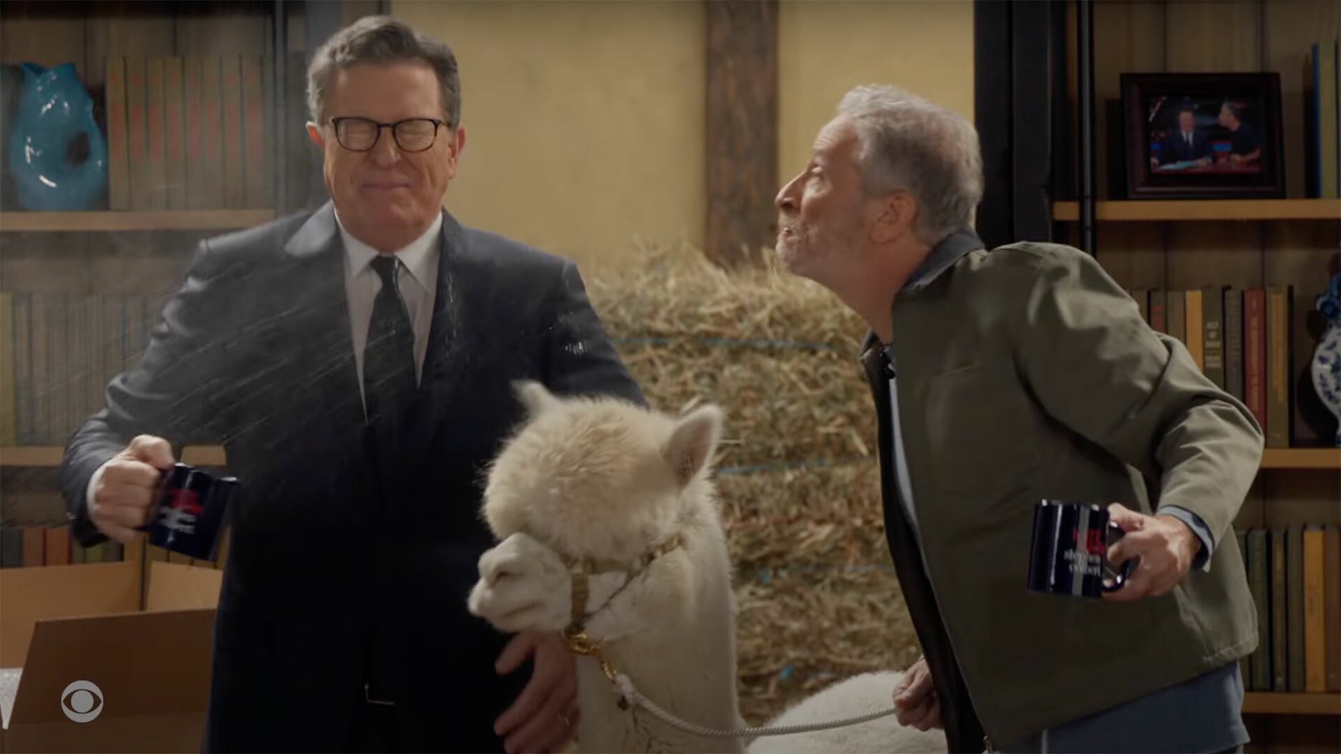A man spits water over a man in a suit, while an alpaca stands between them.