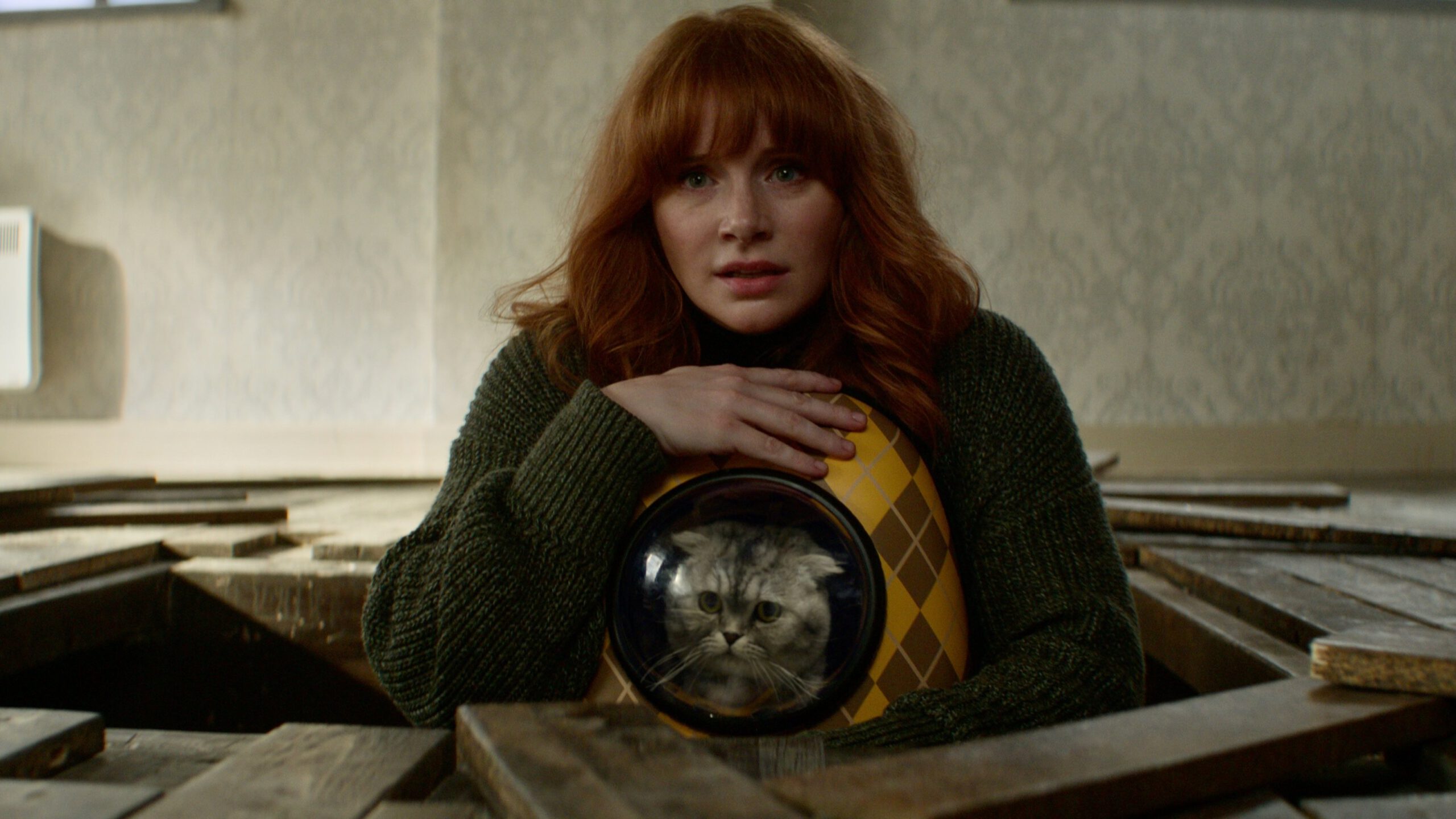 Bryce Dallas Howard and Chip the cat in 