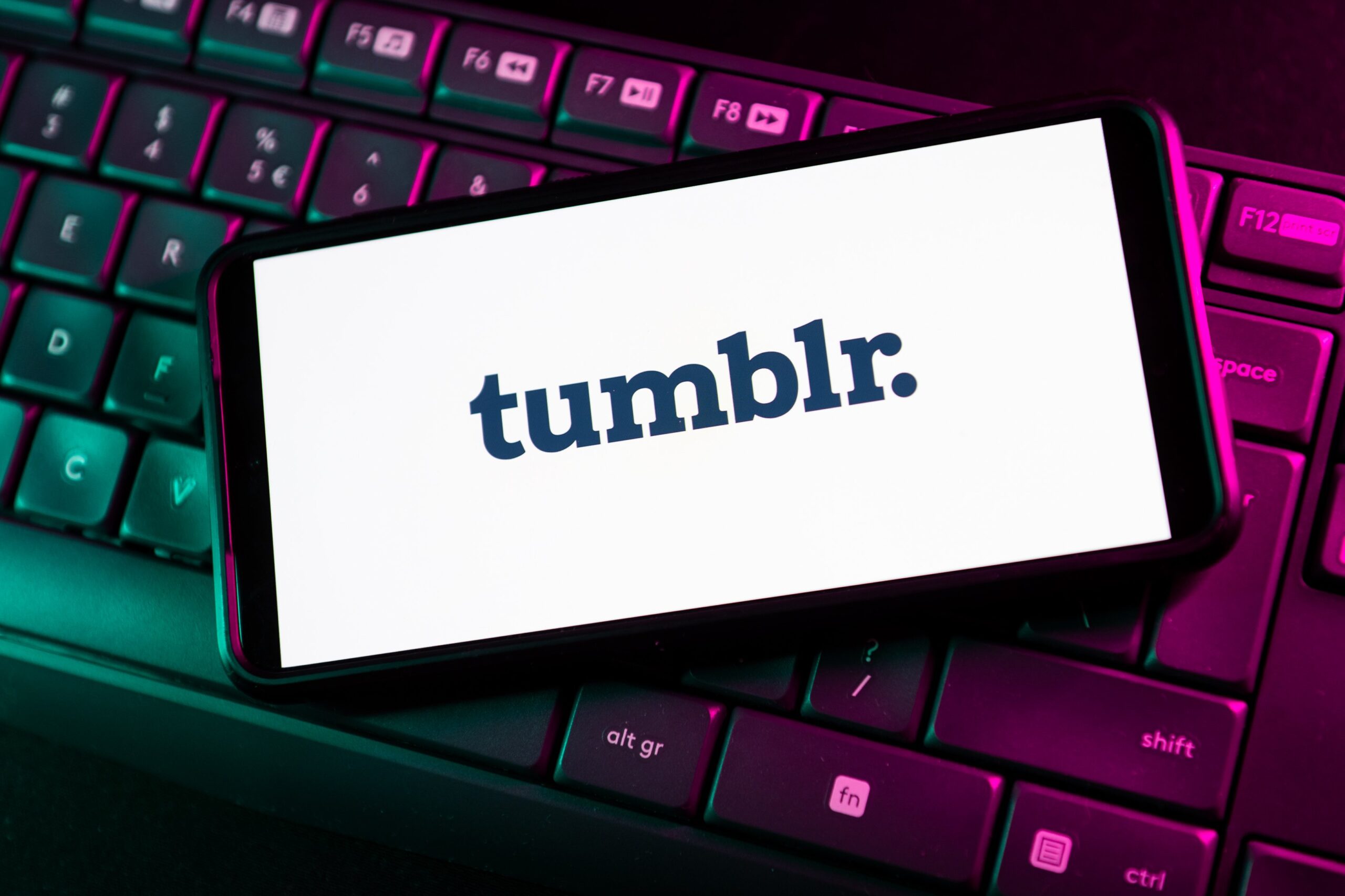 Tumblr logo seen displayed on a smartphone.