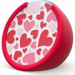 Echo Pop with Valentine's Day faceplate and sleeve 