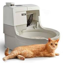 CatGenie A.I. Self-Cleaning, Fully-Flushing, Self-Scooping, Automatic Cat Box  Small