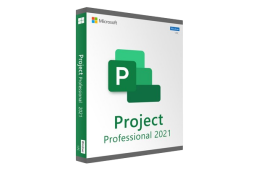 Microsoft project box