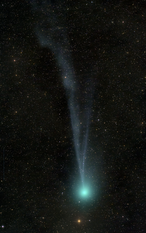 Comet Pons-Brooks showing off its huge tail