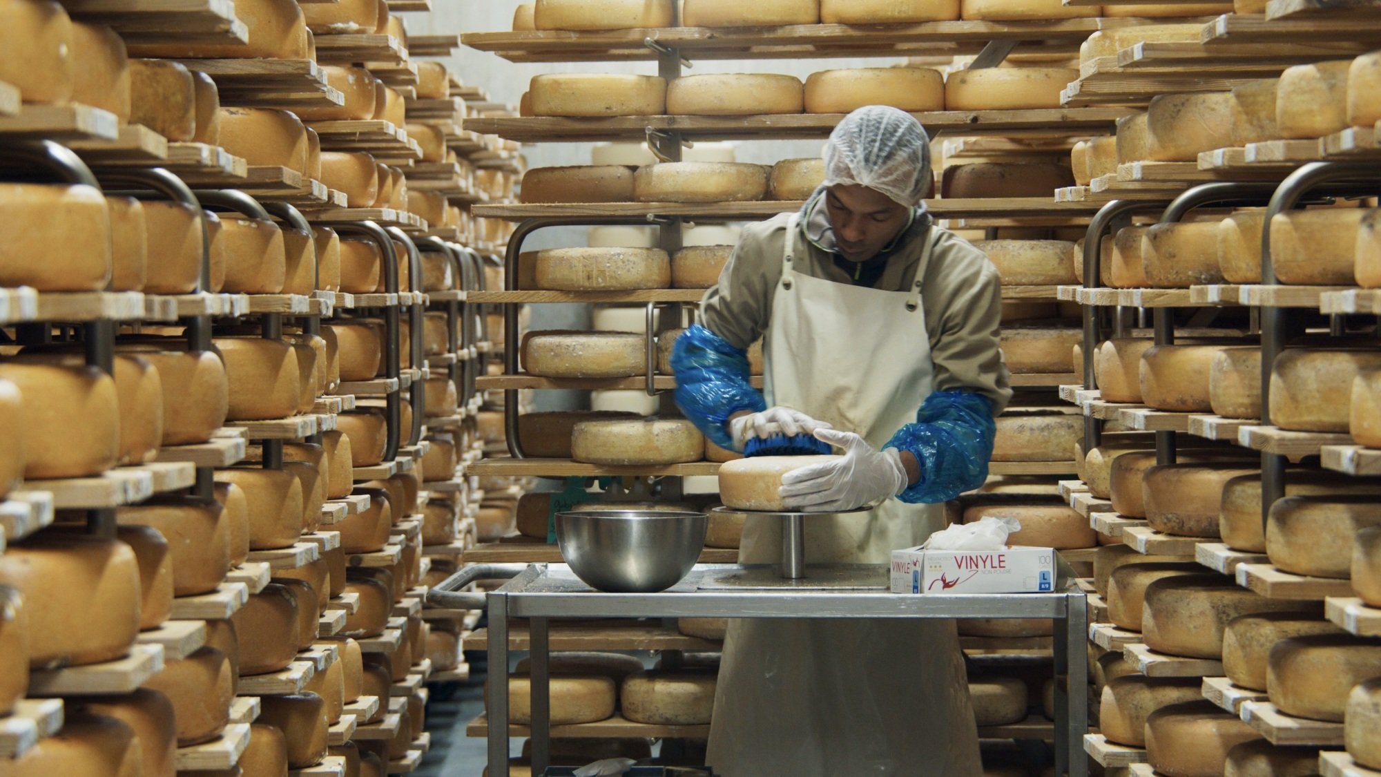 A man crafts a cheese wheel in a cheese cave.