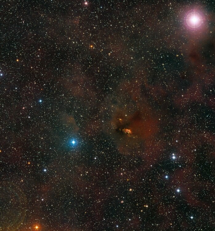 The dust-filled region of space, in the constellation Taurus, where the developing star HL Tauri is located.