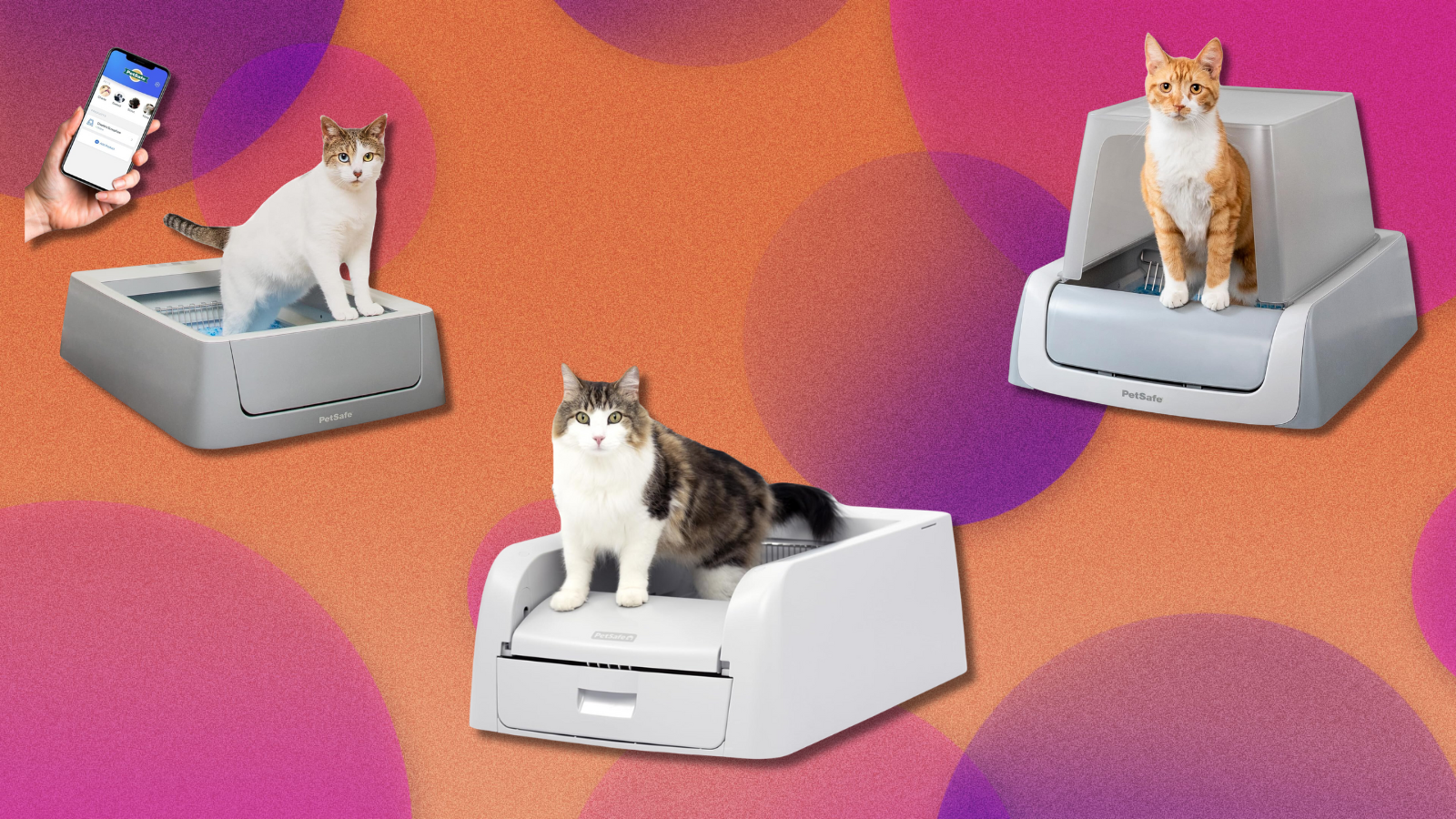 Cats in self-scooping litter boxes on colorful abstract background