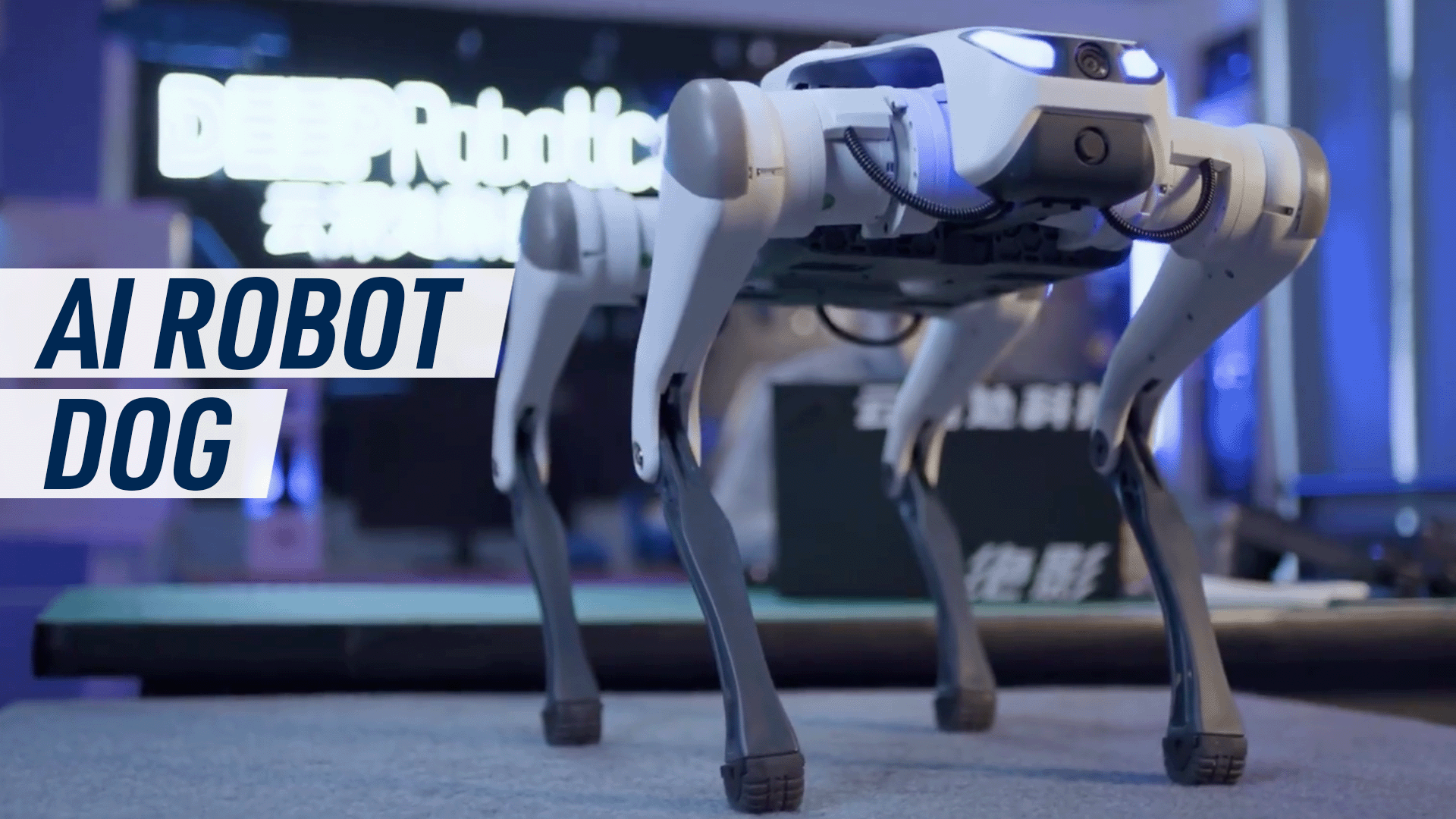 AI Robot Doc