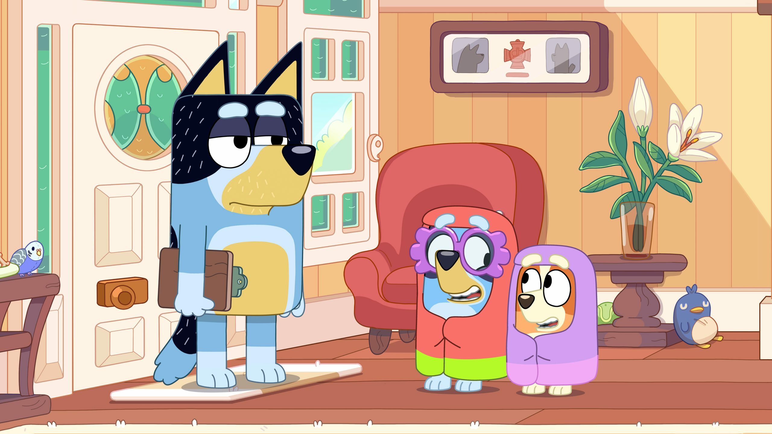 Bandit holding a clipboard while Bluey and Bingo are dressed as grannies in 'Bluey.'