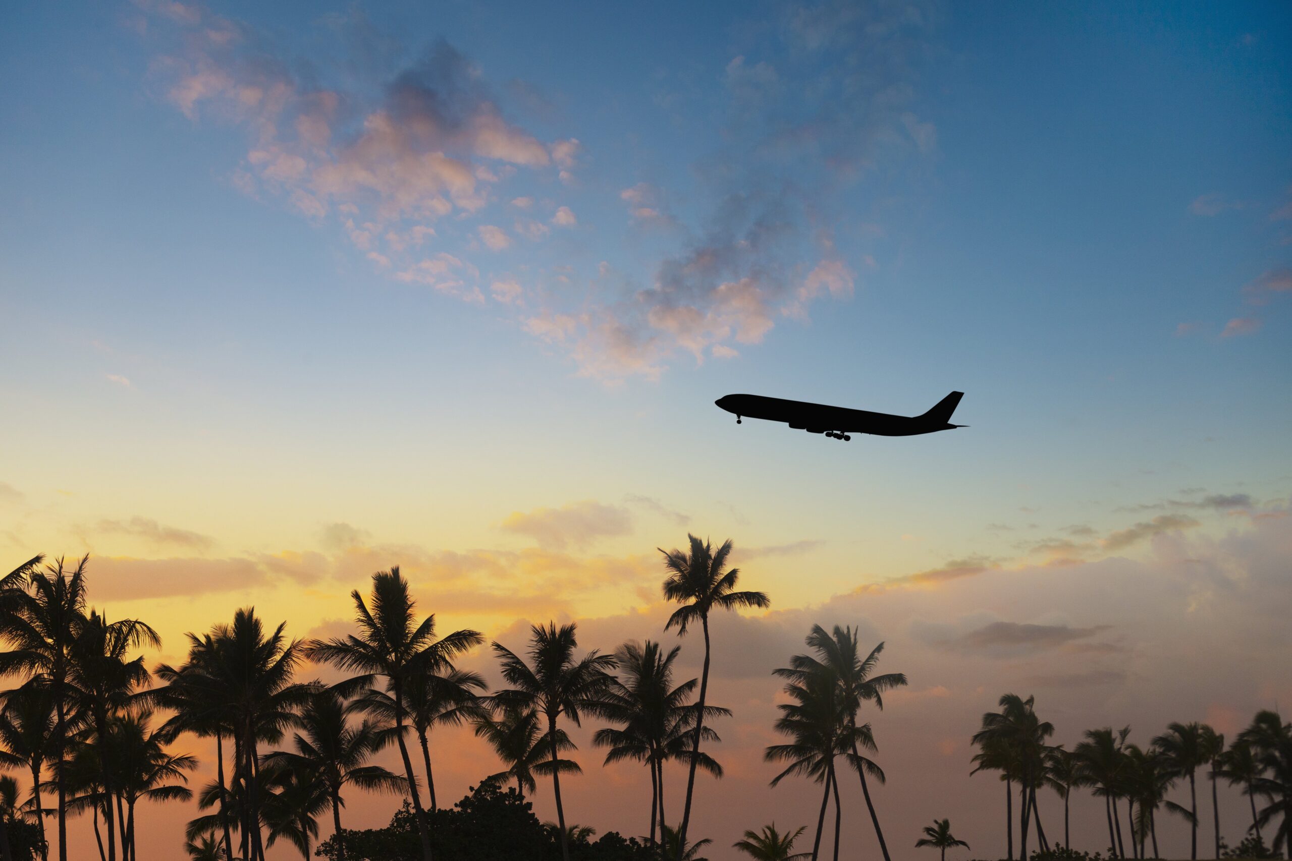 an airplane takes off during sunset with a tropical setting surrounding
