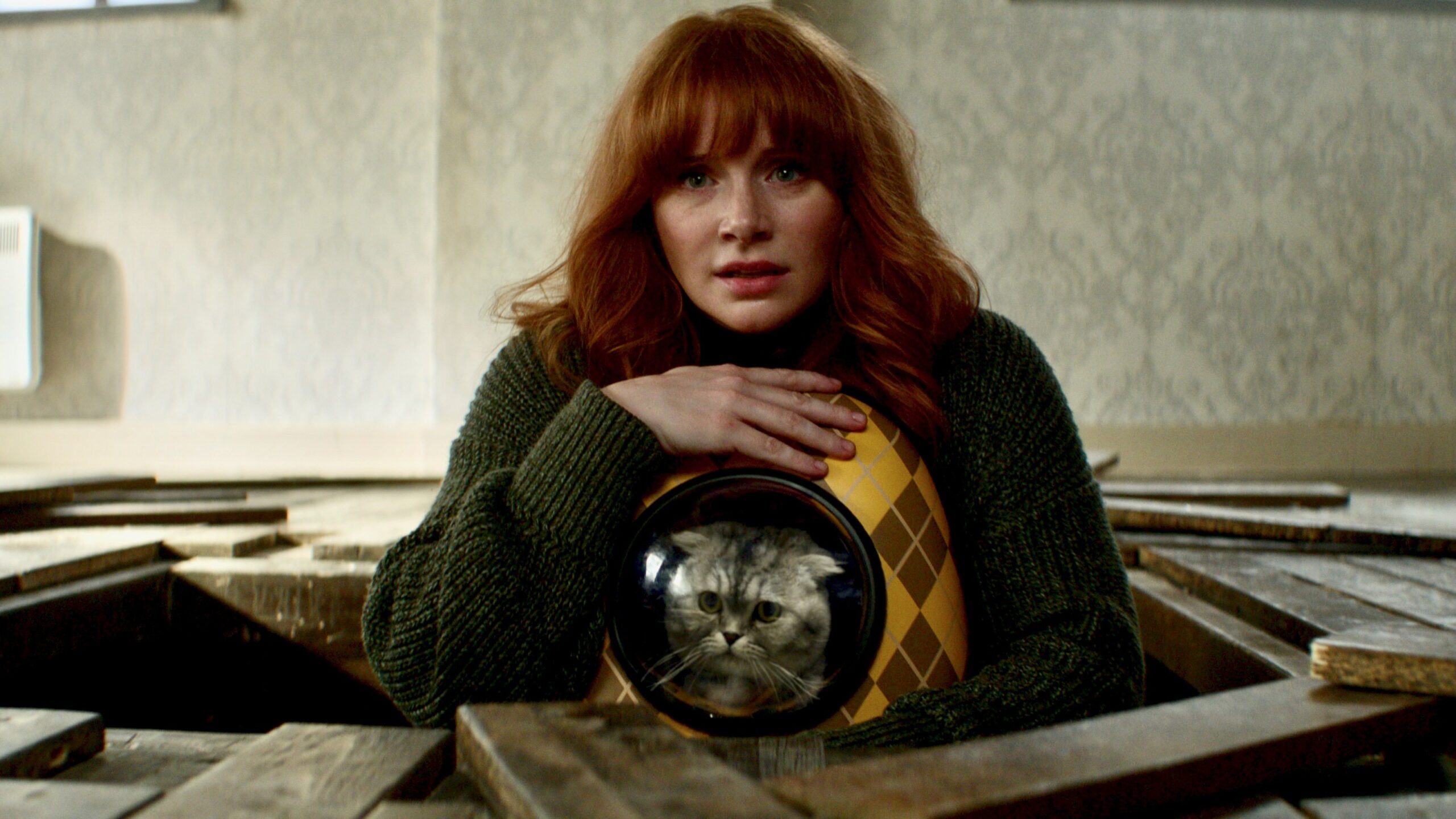 Bryce Dallas Howard with a cat in the movie Argylle