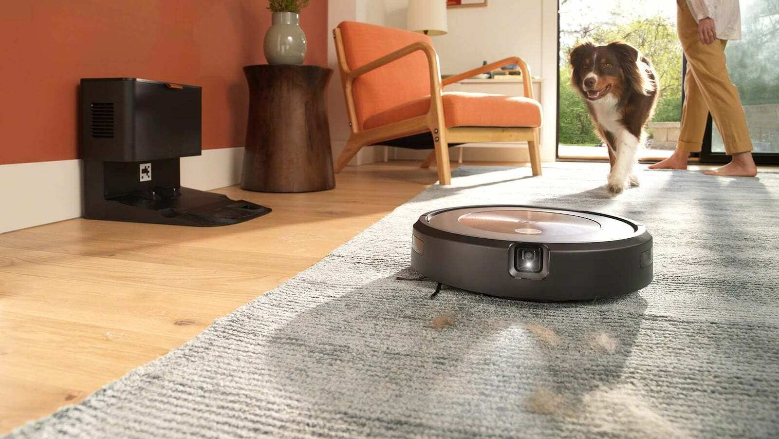 Roomba robot vacuum cleaning rug with self-empty dock, dog, person, and furniture in background