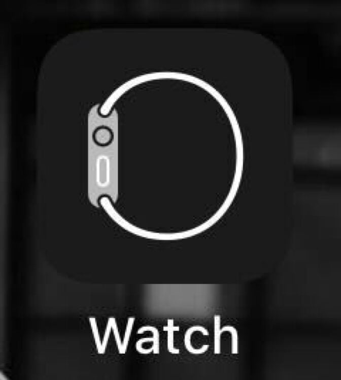 screenshot of apple watch app on iphone scrren