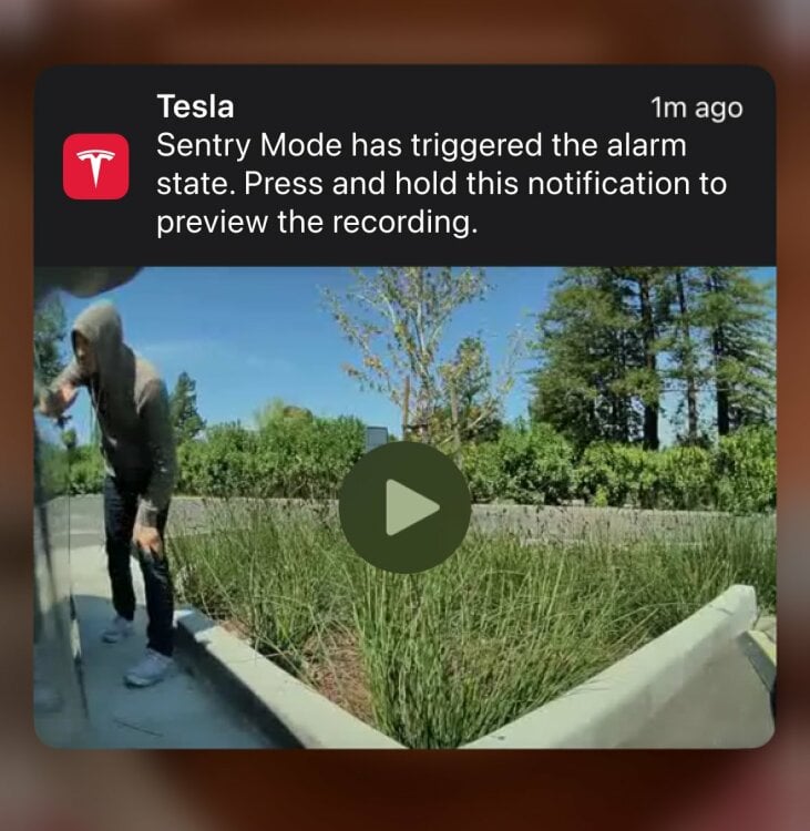 Tesla Sentry Mode preview