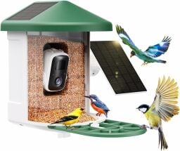 A bird feeder with video camera and solar panel